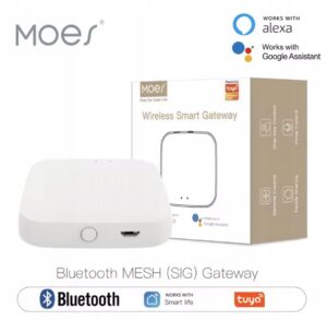 BRAMA MOES Tuya Bluetooth Gateway WiFi Hub Smart Life Mesh SIG Alexa Google