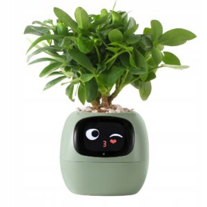 Inteligentna doniczka IVY SMART PLANTER osłonka na donicę ZIELONA